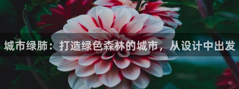 摩根娱乐宝机构代码