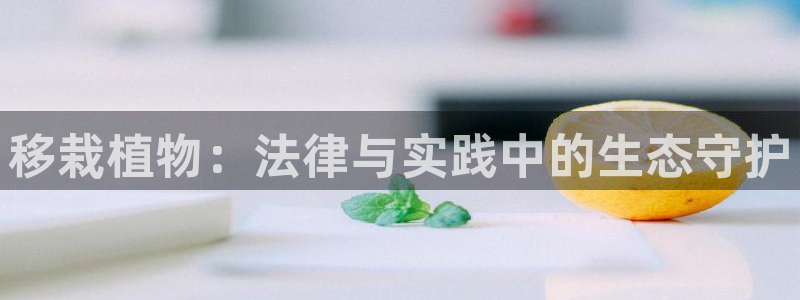 摩根娱乐宝账户