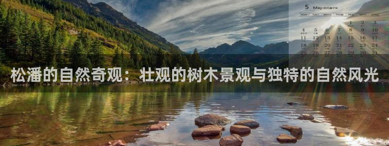 摩根娱乐挂机项目是什么