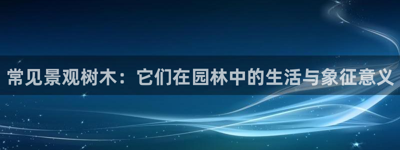 摩根大通会员买金沙娱乐