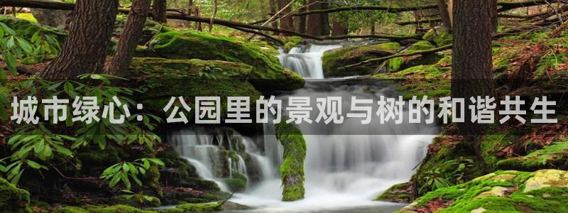 摩根100娱乐会所