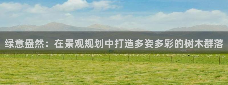 摩根士丹利凯撒娱乐