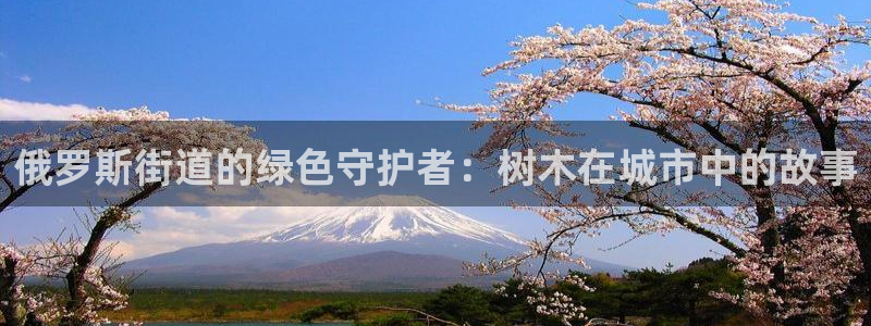 摩根国际娱乐宝进不去：俄罗斯街道的绿色守护者：树木在城市中的故事