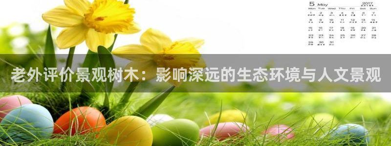 摩根娱乐宝怎么下载