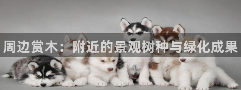 摩根娱乐1老o板50820
