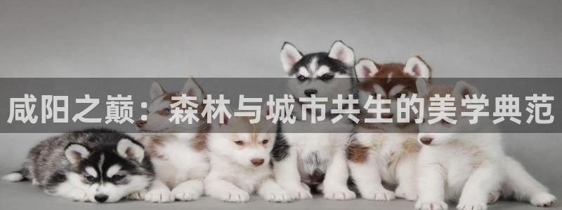 摩根娱乐宝登陆网址