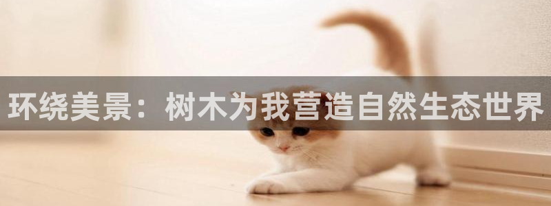 摩根娱乐 1老j板50820：环绕美景：树木为我营造自然生态世界