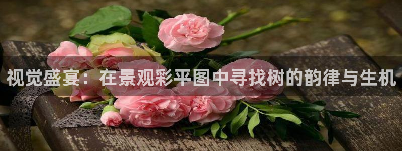 摩根娱乐50186加