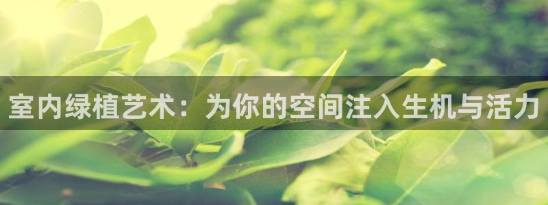 摩根娱乐宝登陆网址