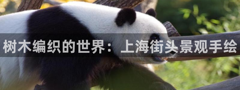 摩根娱乐1老H板50820：树木编织的世界：上海街头景观手绘