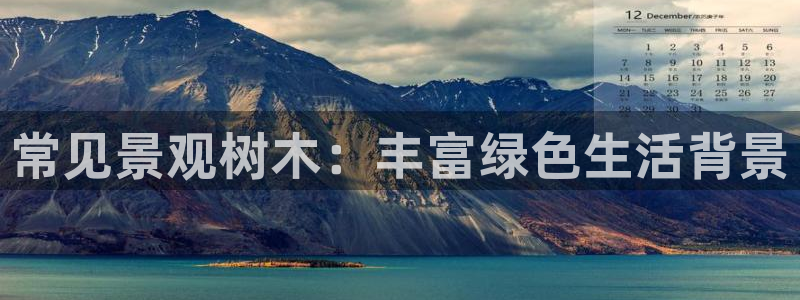 摩根娱乐是骗局吗?