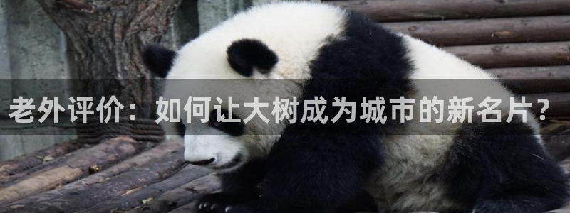 摩根100娱乐会所