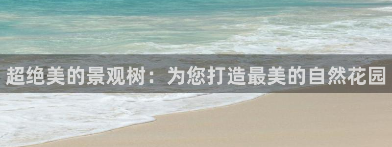 摩根娱乐宝正规吗
