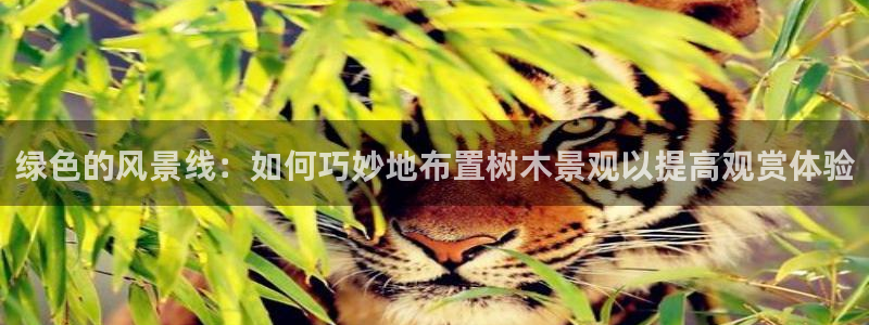 杭州市摩根国际娱乐会所
