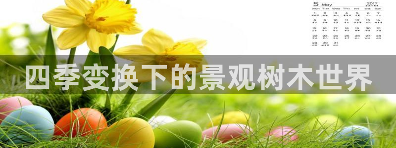 摩根娱乐50186加