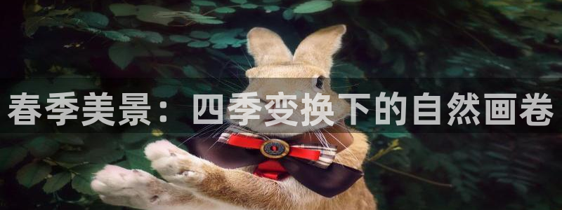 摩根娱乐帐7O777