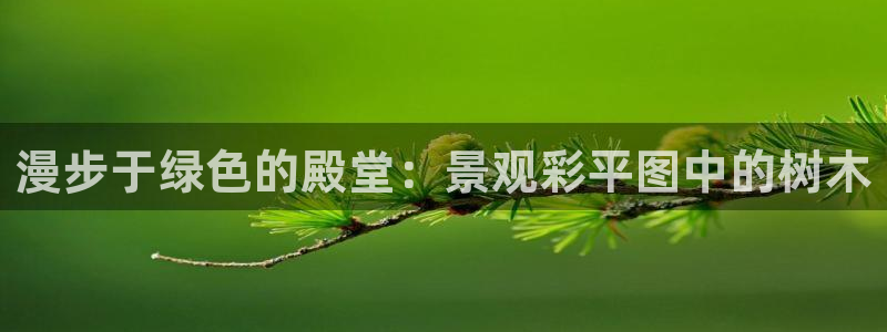 摩根娱乐50186加