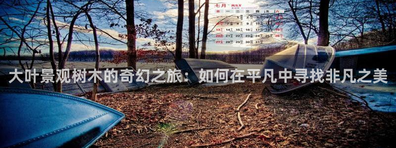 摩根 娱乐宝诈骗：大叶景观树木的奇幻之旅：如何在平凡中寻找非凡之美