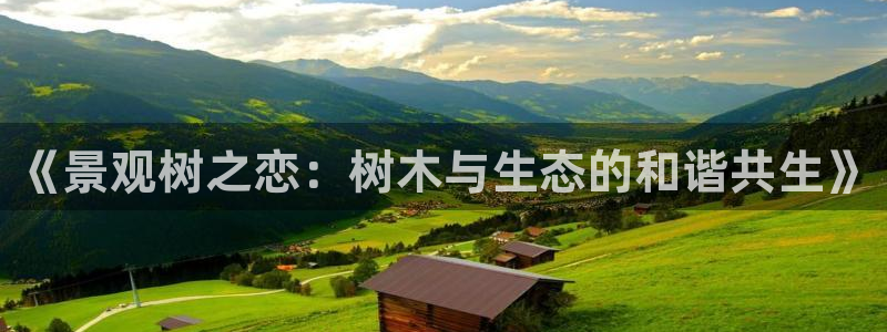 摩根士丹利娱乐