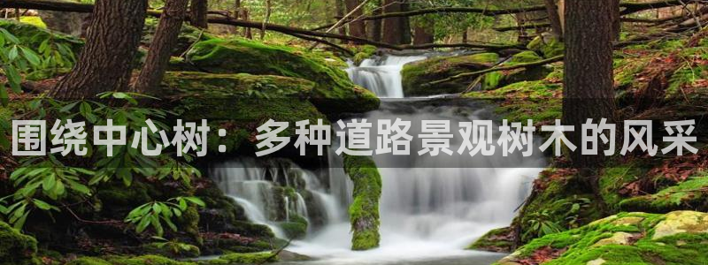 泉州摩根会娱乐保安公司