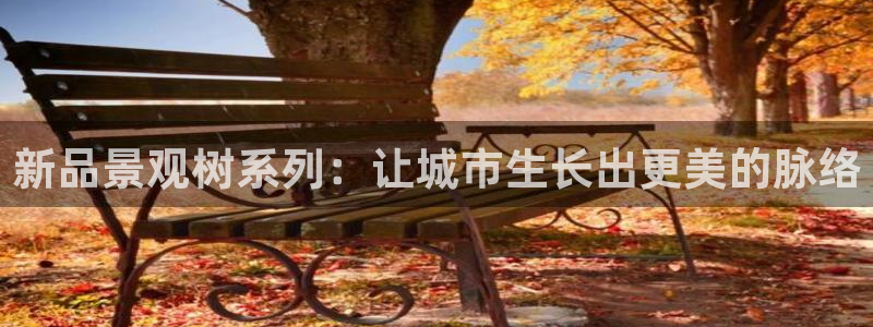 摩根娱乐宝是骗局吗：新品景观树系列：让城市生长出更美的脉络