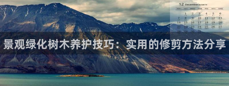 长春拉图摩根娱乐