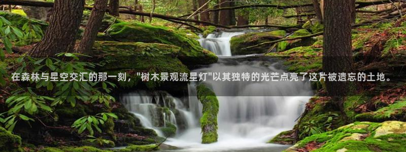 摩根娱乐是什么意思