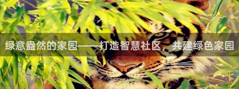 福建泉州白宫摩根会娱乐：绿意盎然的家园——打造智慧社区，共建绿色家园