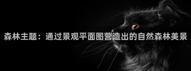 摩根士丹利娱乐银行