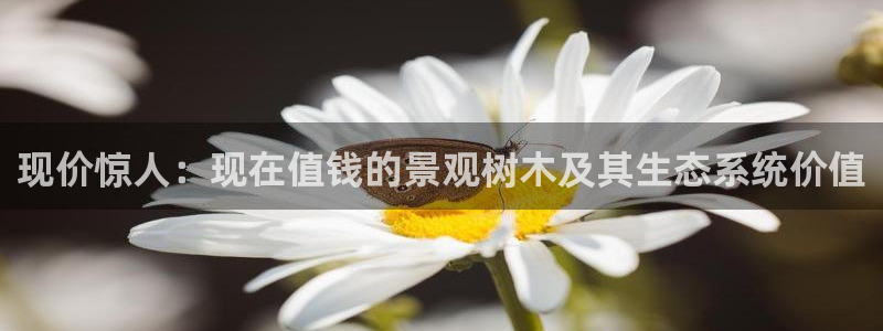 摩根娱乐宝进不去
