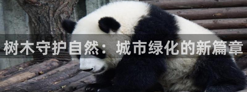 摩根合约娱乐宝：树木守护自然：城市绿化的新篇章