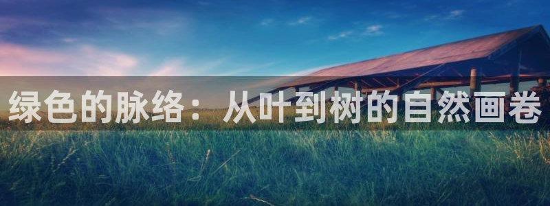 摩根娱乐