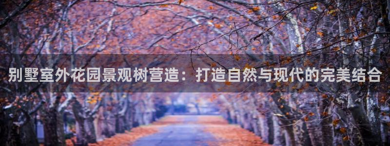 摩根娱乐50186叩杨