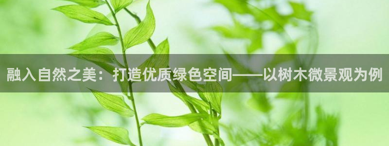 摩根2娱乐