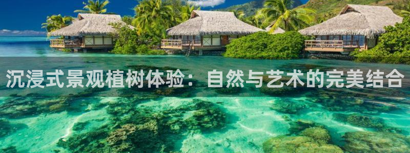 摩根娱乐宝怎么盈利