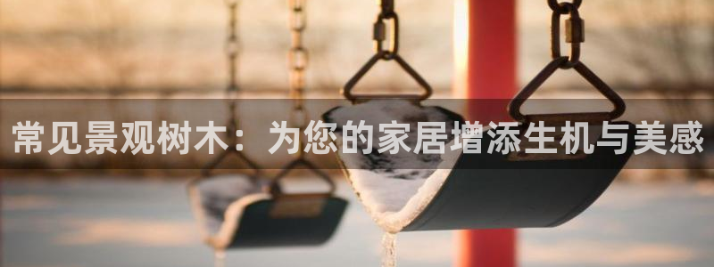 摩根娱乐宝是骗局：常见景观树木：为您的家居增添生机与美感