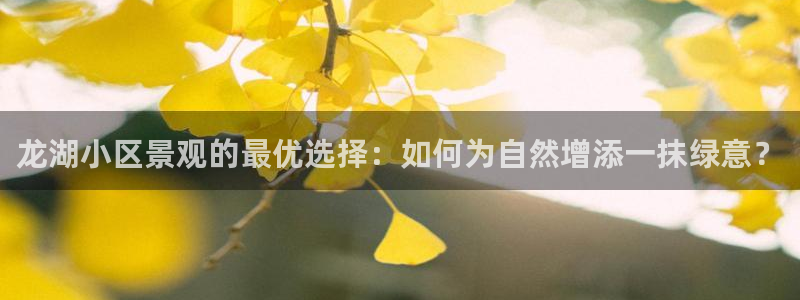 义乌摩根国际娱乐会所