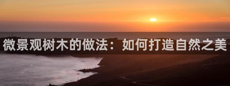 摩根娱乐二三事：微景观树木的做法：如何打造自然之美
