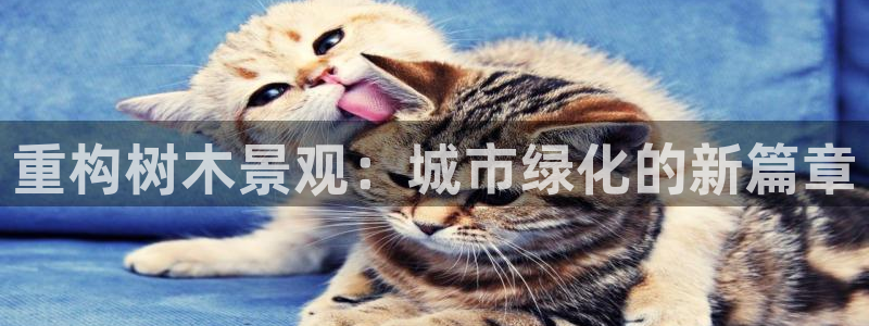 成都摩根娱乐会所：重构树木景观：城市绿化的新篇章