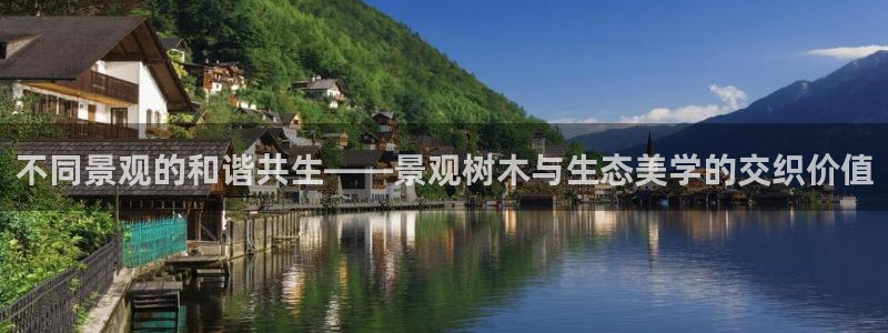 摩根娱乐开户总s管50015 15