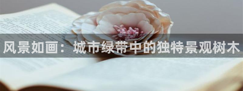 摩根娱乐L老L板50820