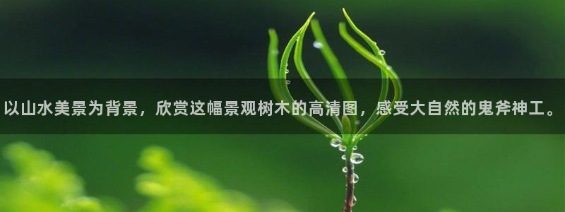 摩根娱乐宝下载