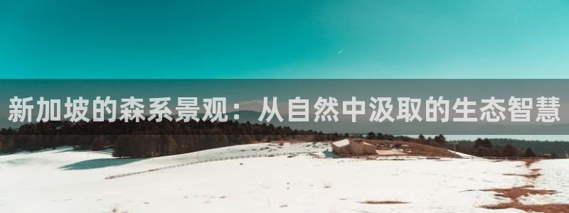 白宫摩根娱乐场所