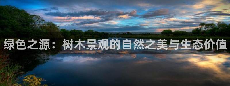 摩根娱乐宝k线图