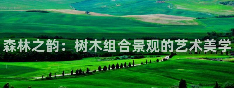 摩根娱乐宝创始人