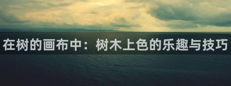 摩根娱乐宝怎么进入