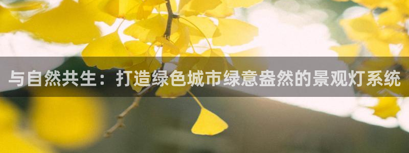 摩根娱乐宝怎么进入