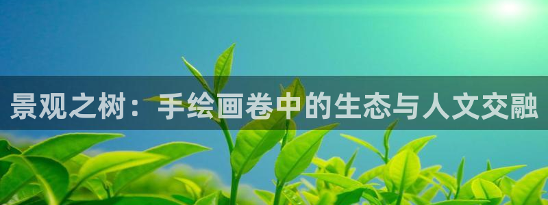 摩根国际 亚太 娱乐宝