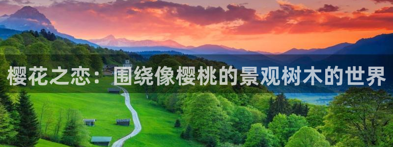 摩根娱乐宝怎么盈利