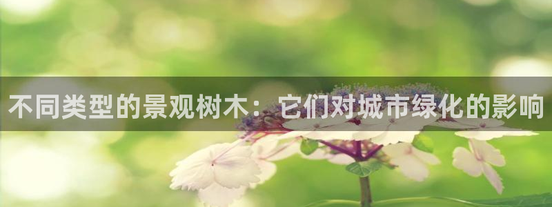 义务摩根娱乐会所电话